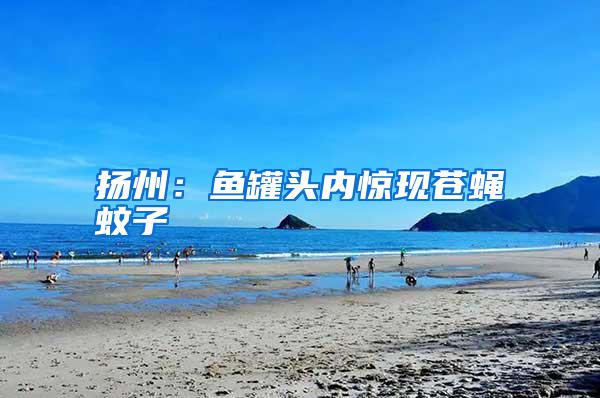 揚州：魚罐頭內(nèi)驚現(xiàn)蒼蠅蚊子