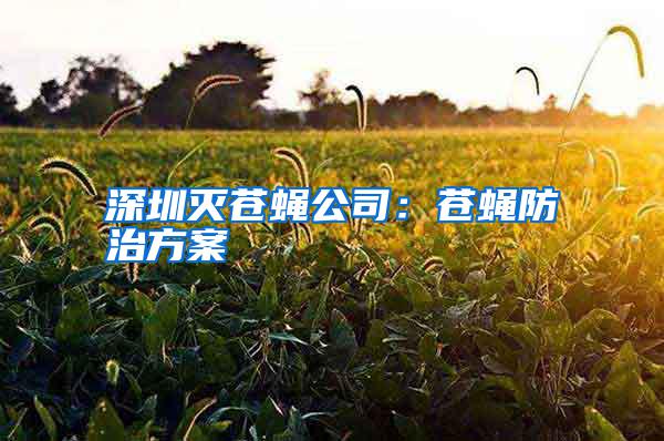 深圳滅蒼蠅公司：蒼蠅防治方案
