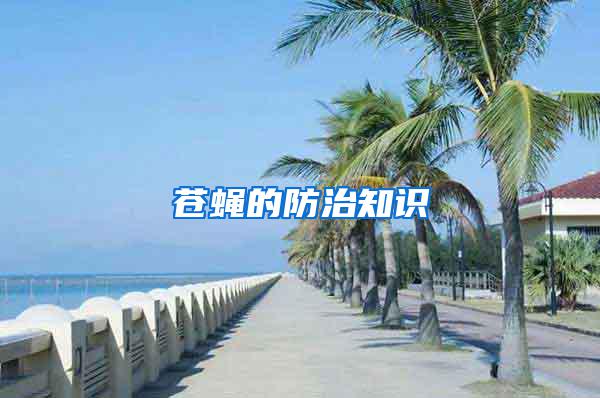 蒼蠅的防治知識