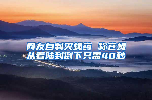 網(wǎng)友自制滅蠅藥 稱(chēng)蒼蠅從著陸到倒下只需40秒
