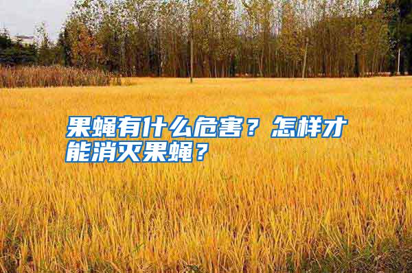 果蠅有什么危害？怎樣才能消滅果蠅？