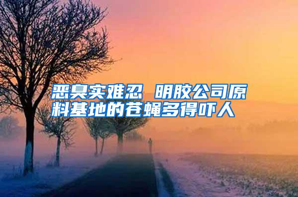 惡臭實難忍 明膠公司原料基地的蒼蠅多得嚇人