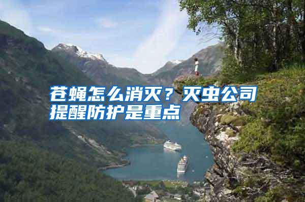 蒼蠅怎么消滅？滅蟲公司提醒防護是重點