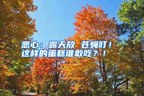 惡心：露天放 蒼蠅叮！ 這樣的蛋糕誰敢吃？！