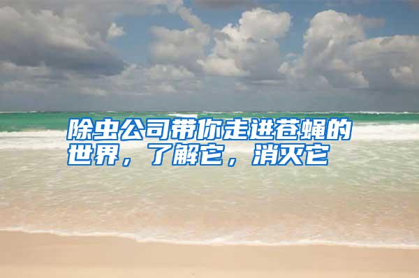 除蟲公司帶你走進(jìn)蒼蠅的世界，了解它，消滅它