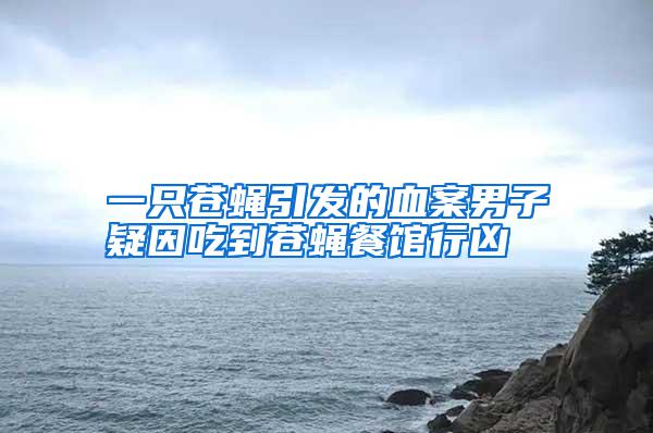 一只蒼蠅引發(fā)的血案男子疑因吃到蒼蠅餐館行兇
