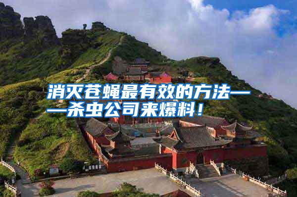 消滅蒼蠅最有效的方法——?dú)⑾x(chóng)公司來(lái)爆料！