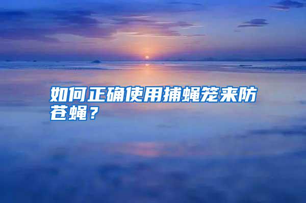 如何正確使用捕蠅籠來防蒼蠅？