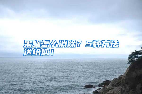 果蠅怎么消除？5種方法送給您！