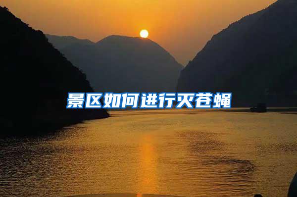 景區如何進行滅蒼蠅