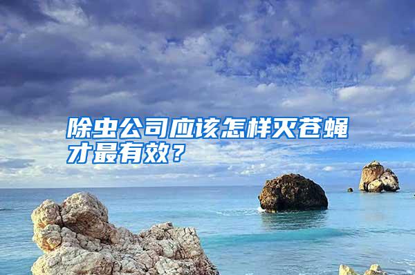 除蟲(chóng)公司應(yīng)該怎樣滅蒼蠅才最有效？
