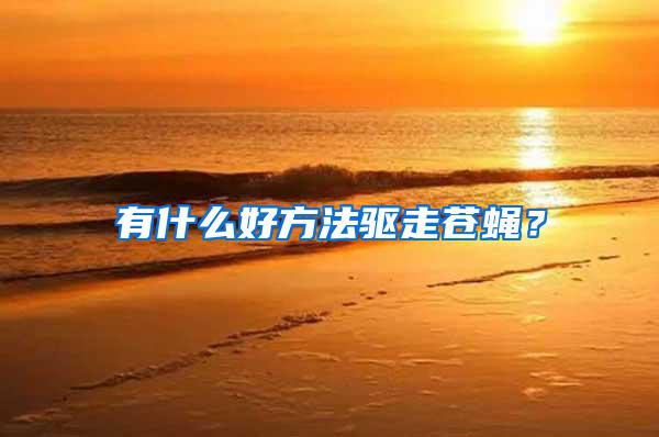 有什么好方法驅走蒼蠅？