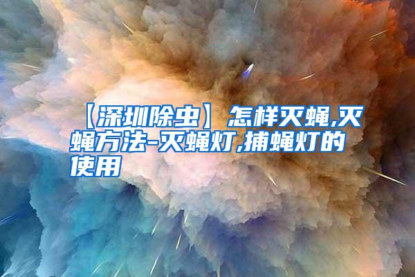 【深圳除蟲(chóng)】怎樣滅蠅,滅蠅方法-滅蠅燈,捕蠅燈的使用