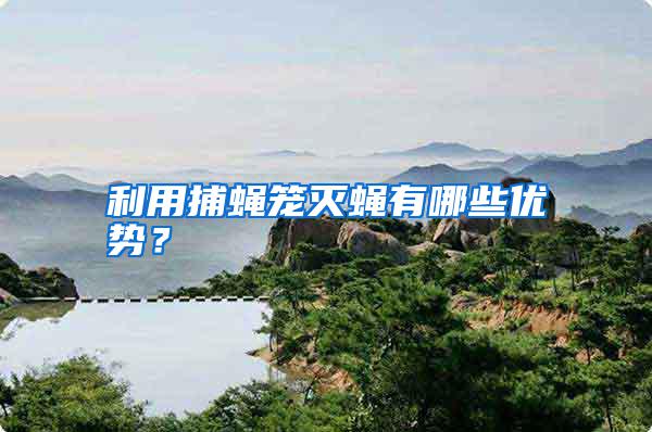 利用捕蠅籠滅蠅有哪些優勢？