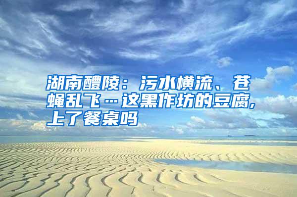 湖南醴陵：污水橫流、蒼蠅亂飛…這黑作坊的豆腐,上了餐桌嗎
