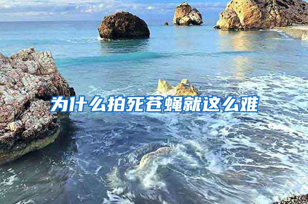 為什么拍死蒼蠅就這么難