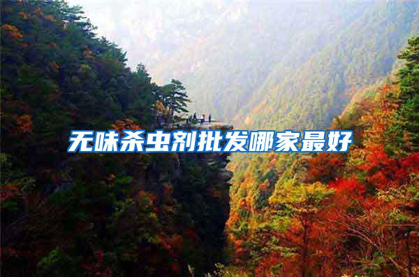 無味殺蟲劑批發哪家最好