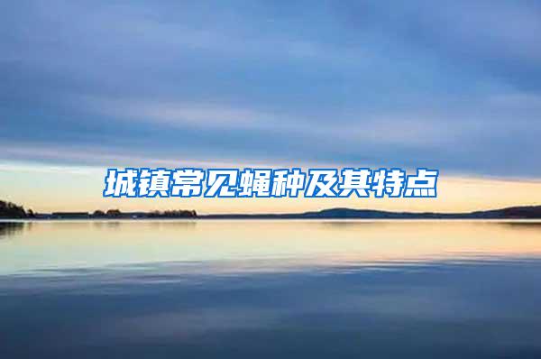城鎮(zhèn)常見蠅種及其特點