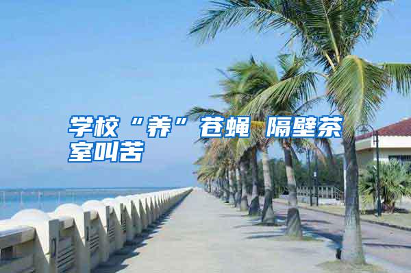 學校“養(yǎng)”蒼蠅 隔壁茶室叫苦