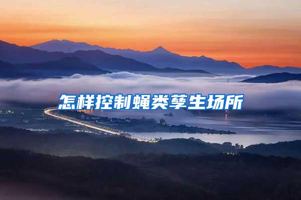 怎樣控制蠅類孳生場所