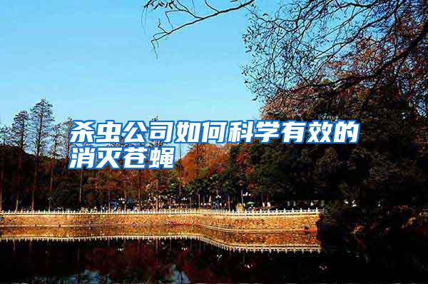 殺蟲公司如何科學(xué)有效的消滅蒼蠅