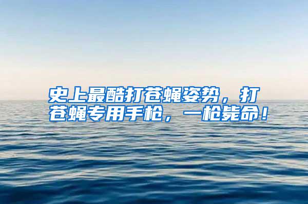 史上最酷打蒼蠅姿勢，打蒼蠅專用手槍，一槍斃命！