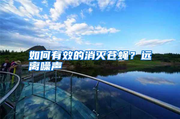 如何有效的消滅蒼蠅？遠(yuǎn)離噪聲