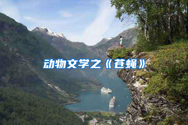 動物文學(xué)之《蒼蠅》