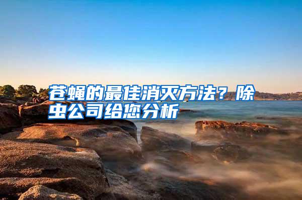 蒼蠅的最佳消滅方法？除蟲公司給您分析