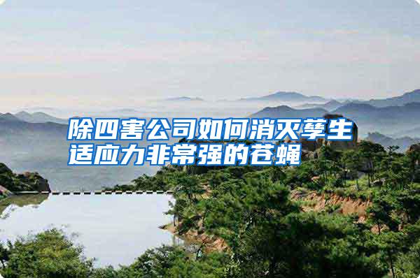 除四害公司如何消滅孳生適應力非常強的蒼蠅