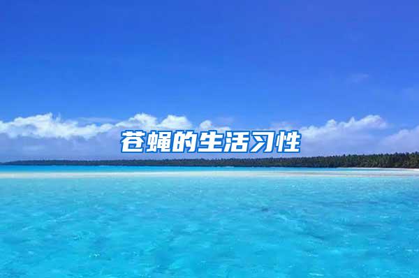 蒼蠅的生活習性