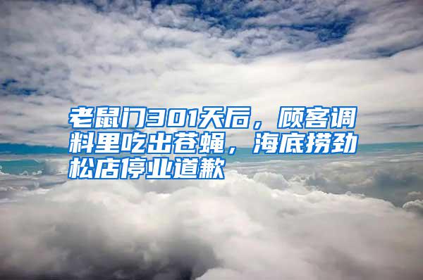 老鼠門301天后，顧客調料里吃出蒼蠅，海底撈勁松店停業道歉