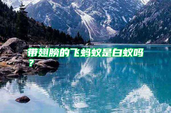 帶翅膀的飛螞蟻是白蟻嗎？