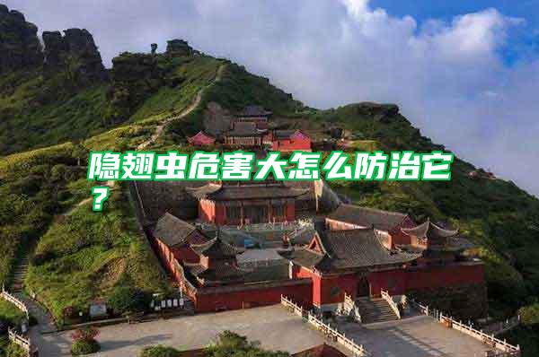 隱翅蟲危害大怎么防治它？