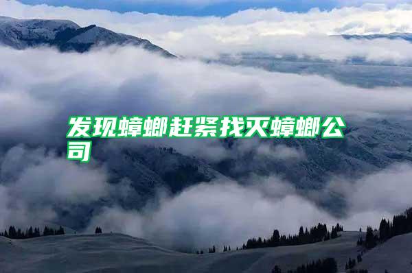 發現蟑螂趕緊找滅蟑螂公司