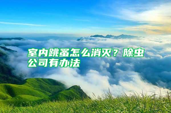 室內跳蚤怎么消滅？除蟲公司有辦法