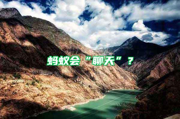 螞蟻會“聊天”？