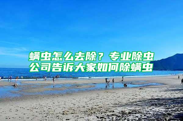螨蟲怎么去除？專業(yè)除蟲公司告訴大家如何除螨蟲