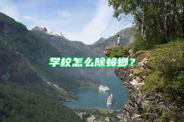 學校怎么除蟑螂？