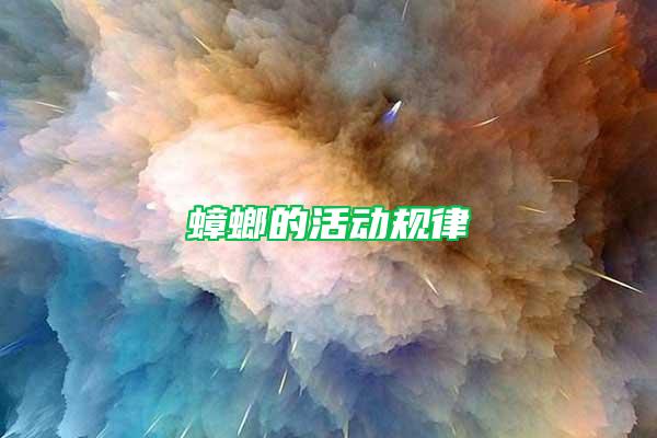 蟑螂的活動規律