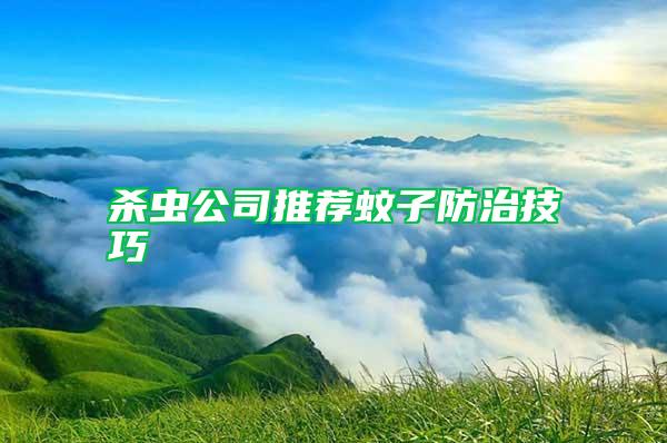 殺蟲公司推薦蚊子防治技巧