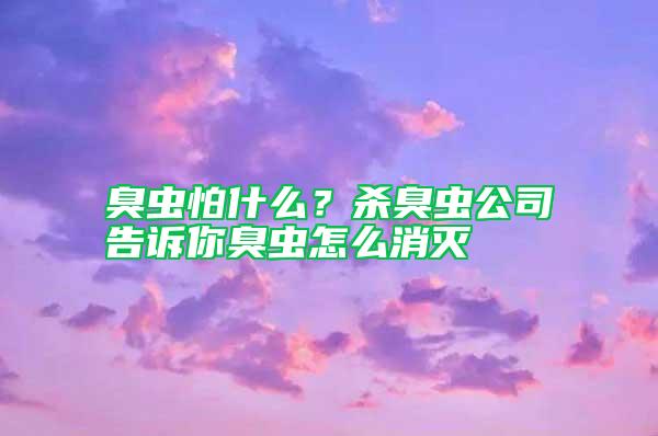 臭蟲怕什么？殺臭蟲公司告訴你臭蟲怎么消滅