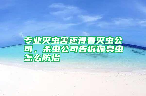專業滅蟲害還得看滅蟲公司，殺蟲公司告訴你臭蟲怎么防治