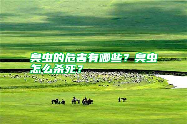 臭蟲的危害有哪些？臭蟲怎么殺死？