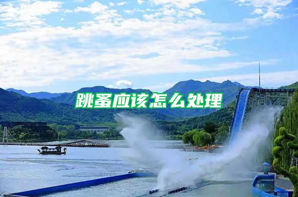 跳蚤應(yīng)該怎么處理