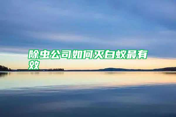除蟲公司如何滅白蟻最有效