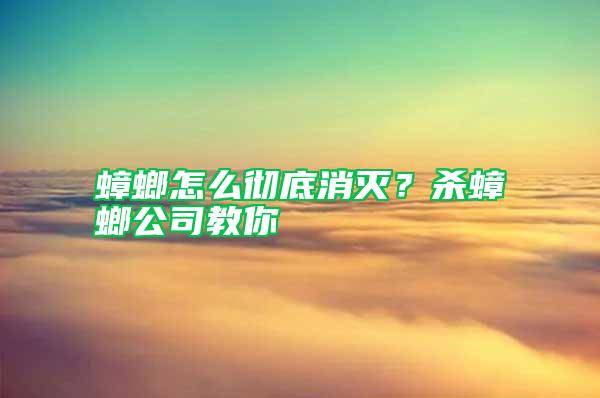 蟑螂怎么徹底消滅？殺蟑螂公司教你
