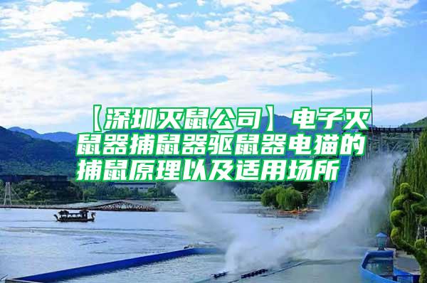 【深圳滅鼠公司】電子滅鼠器捕鼠器驅(qū)鼠器電貓的捕鼠原理以及適用場所