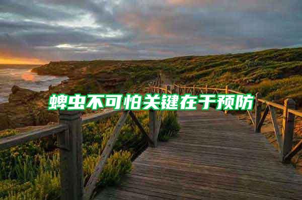 蜱蟲不可怕關(guān)鍵在于預(yù)防