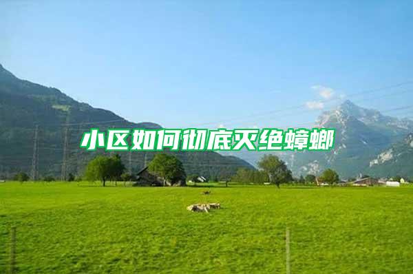 小區(qū)如何徹底滅絕蟑螂